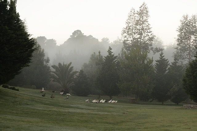 San Bernardo Hotel & Spa Tapalpa Dış mekan fotoğraf